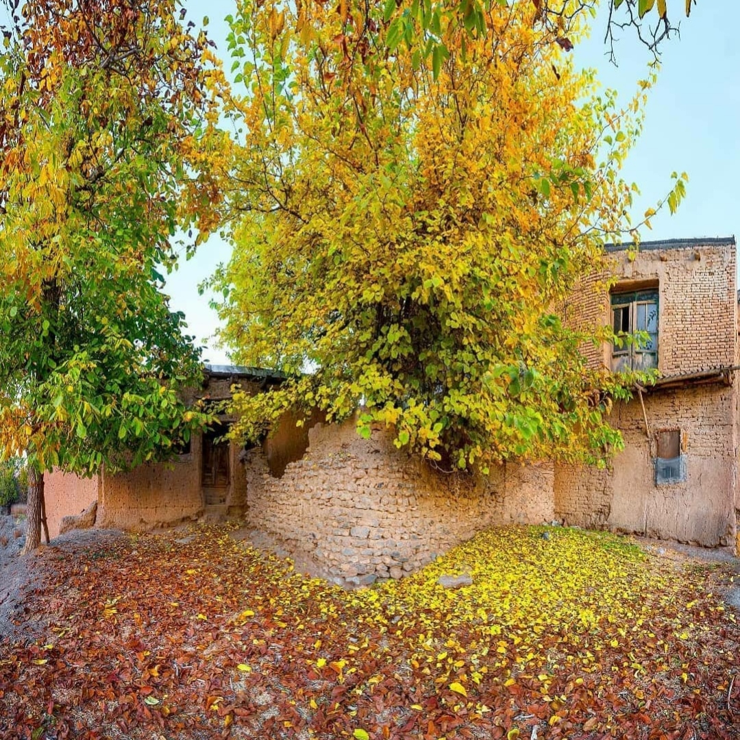 حسین خسروی شنگ قطار